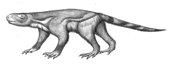 Eutriconodonta - Wikipedia