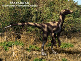 Spec Dinosauria: Boreonychidae