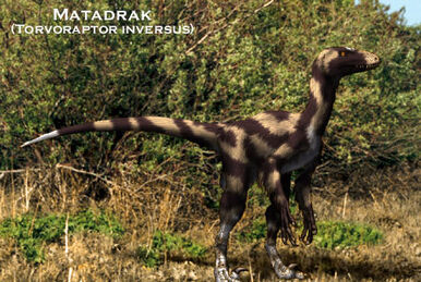 Tyrannosauroidea ( Dinolandia ), Speculative Evolution Wiki