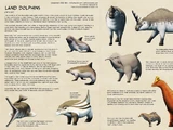 Land dolphins