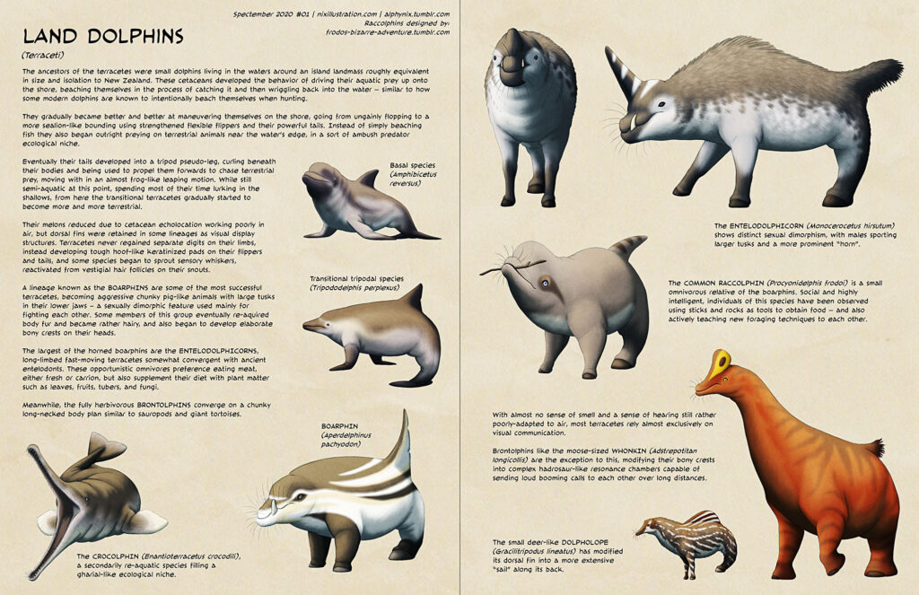 dolphin evolution