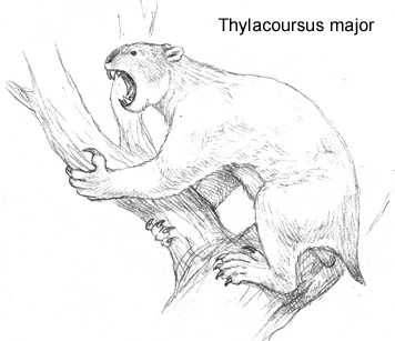 Thylaco