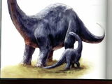 Brontosaurus (Skull Island)