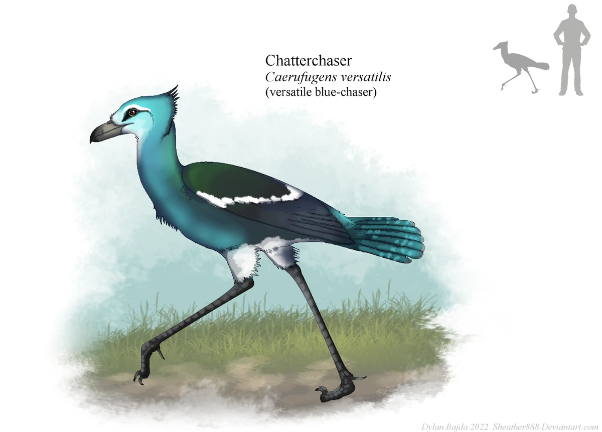 Chatterchaser Speculative Evolution Wiki Fandom