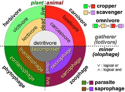 Classification of consumers based on their food: green and brown (left) are plants, purple and red (right) animals; green and red (outer ring) are alive, brown and purple (inner ring) are dead; in the upper half, consumers eat the whole organism, in the lower half only parts of it.