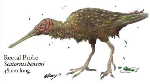 Rect-fig1