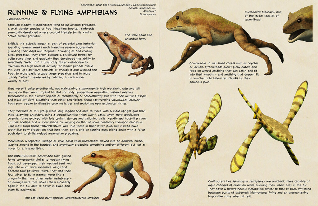 Running and flying amphibians | Speculative Evolution Wiki | Fandom