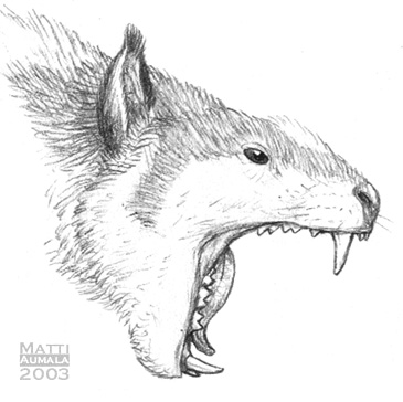 Baskerjaws