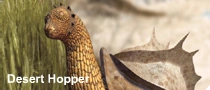 Desert hopper