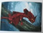 SkullIslandsWildife039.