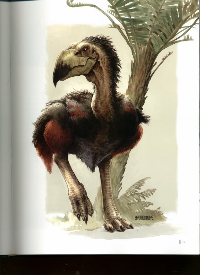 Zeropteryx Speculative Evolution Wiki Fandom