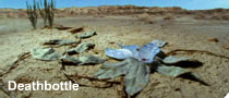 Deathbottle.png