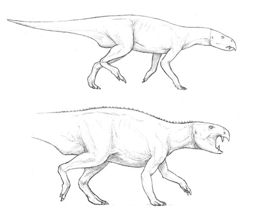 Tyrannosauroidea ( Dinolandia ), Speculative Evolution Wiki