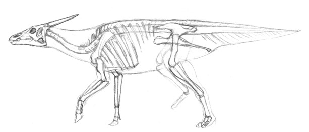 Tyrannosauroidea ( Dinolandia ), Speculative Evolution Wiki