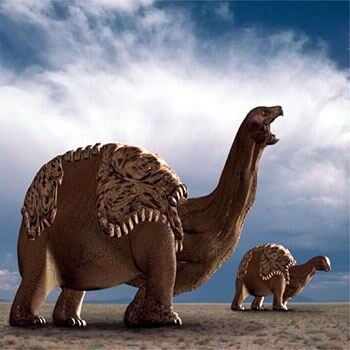 Toratons.jpg