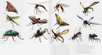 Canopy Insects | Speculative Evolution Wiki | Fandom