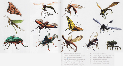 Canopy Insects | Speculative Evolution Wiki | Fandom Canopy Insects | Speculative Evolution Wiki | Fandom