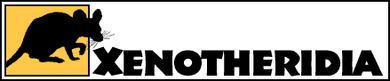 Mxenohead