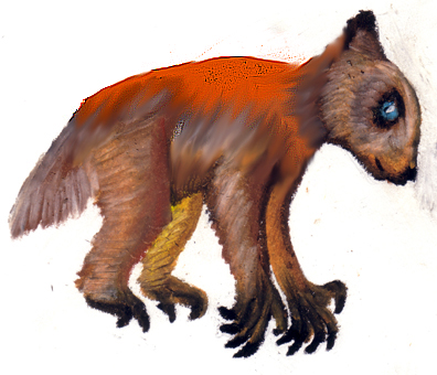 Redback teddy