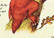 Chirit grip