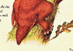 Chirit Speculative Evolution Wiki Fandom