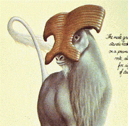 Male groath