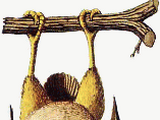 Tree Goose