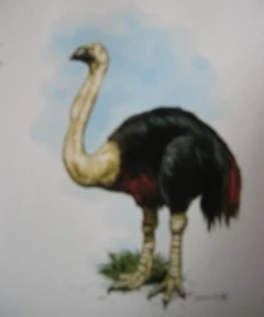 SkullIslandsWildife027