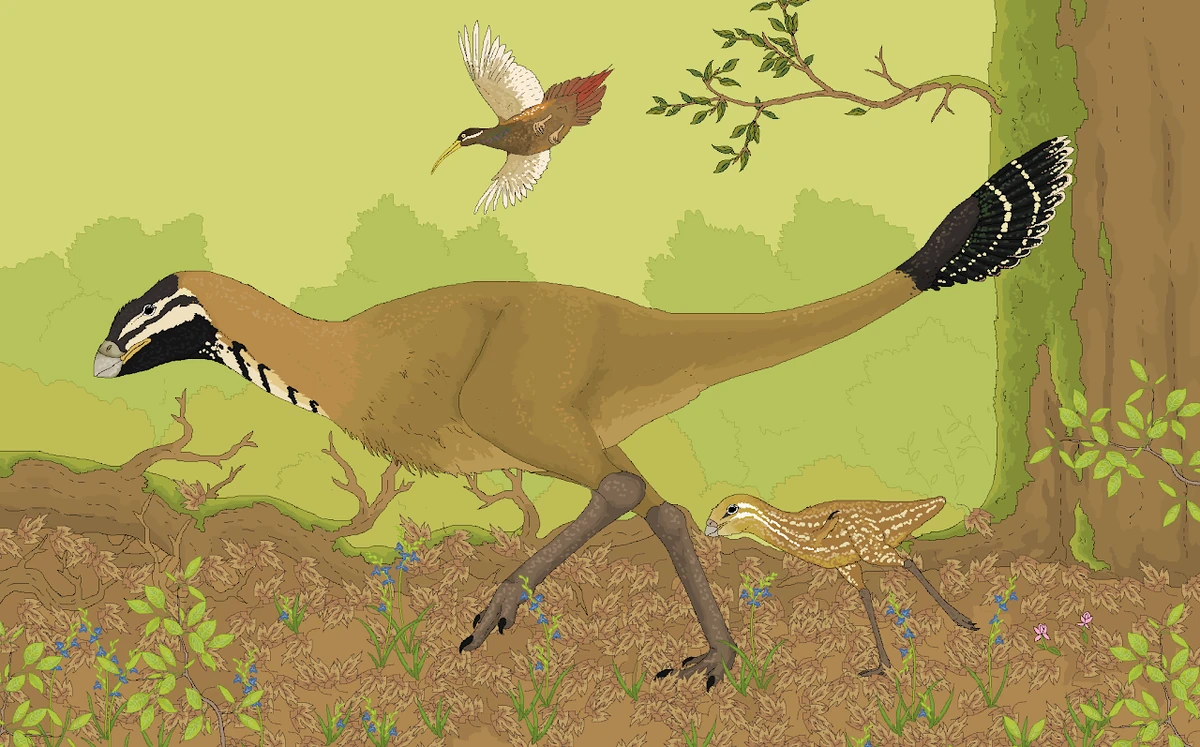 Pseudornithopods Speculative Evolution Wiki Fandom