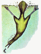 Skern 1
