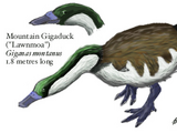 Spec Dinosauria: Anseriformes
