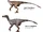 Spec Dinosauria: Mattiraptoroidea
