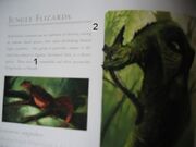 SkullIslandsWildife037
