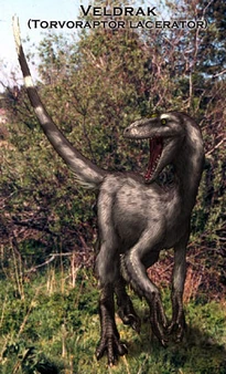 Veldrak, Torvoraptor lacerator (Europe)