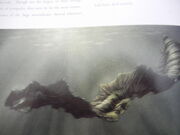 DSCN1885.jpg