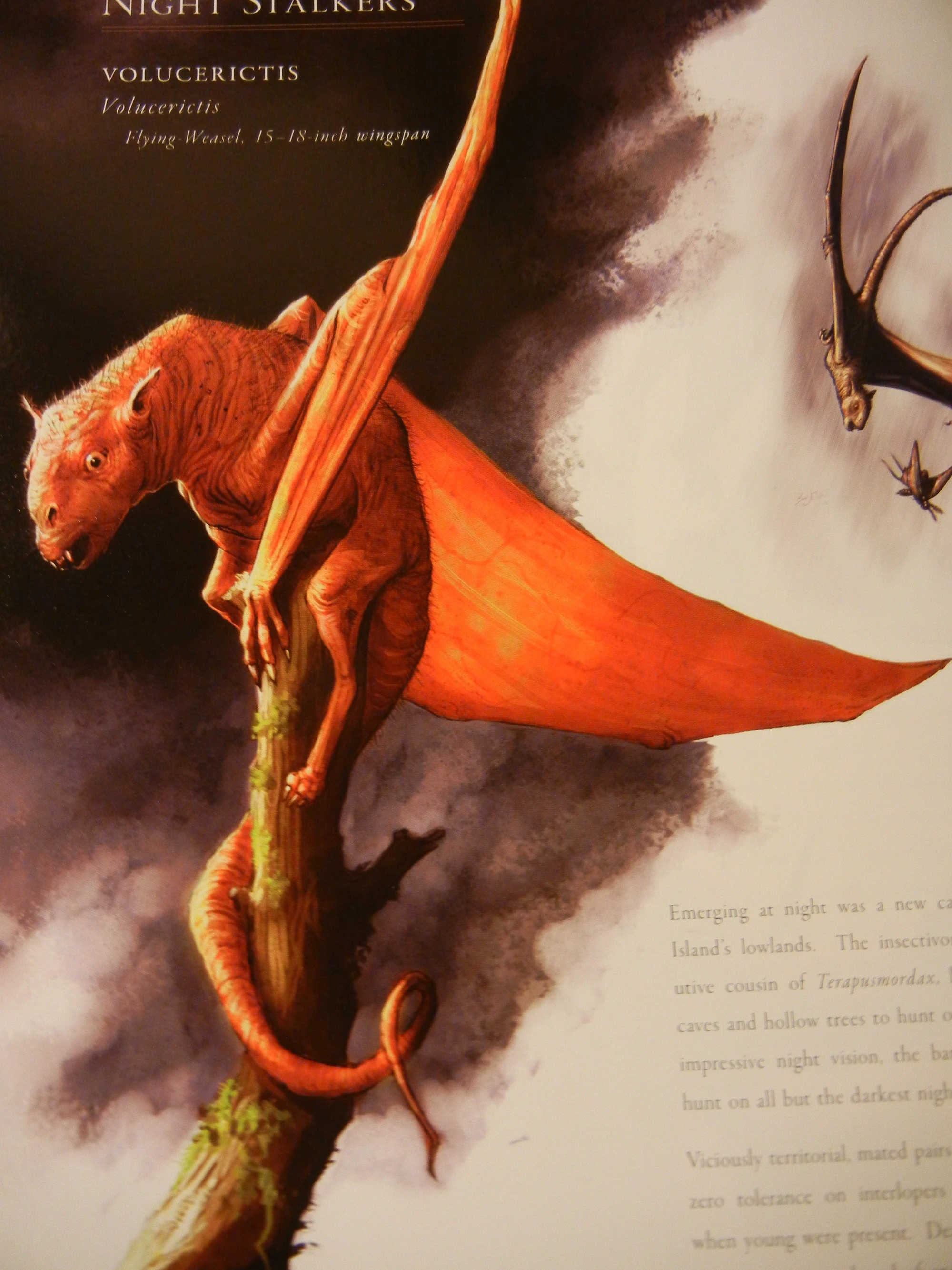 Volucerictis Speculative Evolution Wiki Fandom