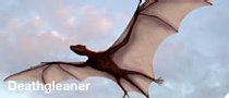 Deathgleaner.png