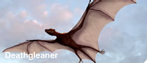 Deathgleaner, a giant predatory bat of the North American desert