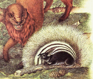 The Spine-tailed squirrel from the Northern Continent coniferous forests, fending off a pamthret.