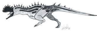 Priscatauruseximius