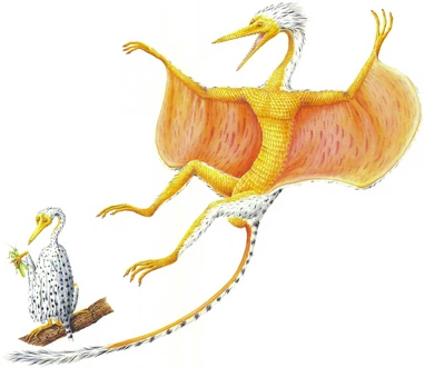 The gliding wings, or patagia, of the flurrit, although not allowing it to fly as a pterosaur's wings would, enable the flurrit to glide for great distances between the trees. Its hollow bones help to keep down the body weight. It can control its gliding flight path by altering the position of its arms and by swinging its long tail. When hunting or feeding below, the flurrit folds its patagia away.