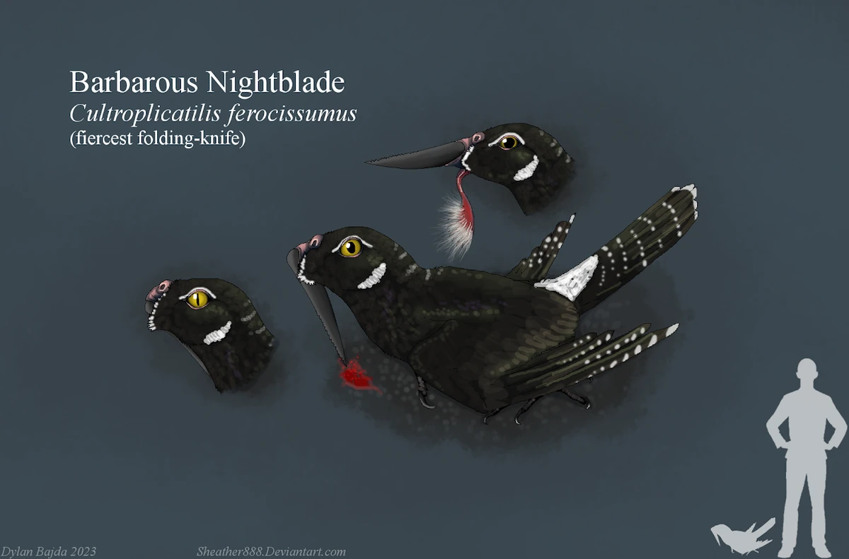 Barbarous Nightblade Speculative Evolution Wiki Fandom