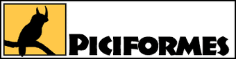 Dpicihead