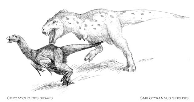 Tyrannosauroidea ( Dinolandia ), Speculative Evolution Wiki