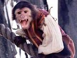 Jack the Monkey