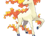 Rapidash