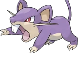 Rattata