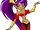 Shantae