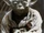 Yoda