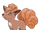 Vulpix